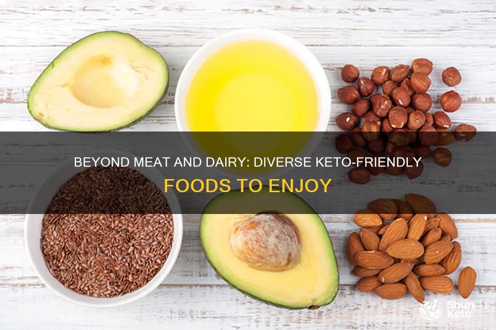 what have on keto diet other than meat and dairy