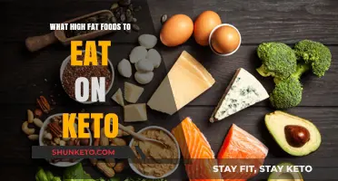 Top Keto-Friendly High-Fat Foods to Fuel Your Low-Carb Lifestyle