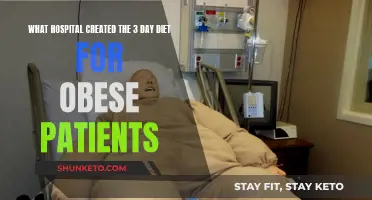 Hospital Diet Secrets: 3-Day Plan for Obese Patients