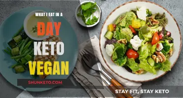 Keto Vegan Daily Eats: My Plant-Based Low-Carb Meal Plan