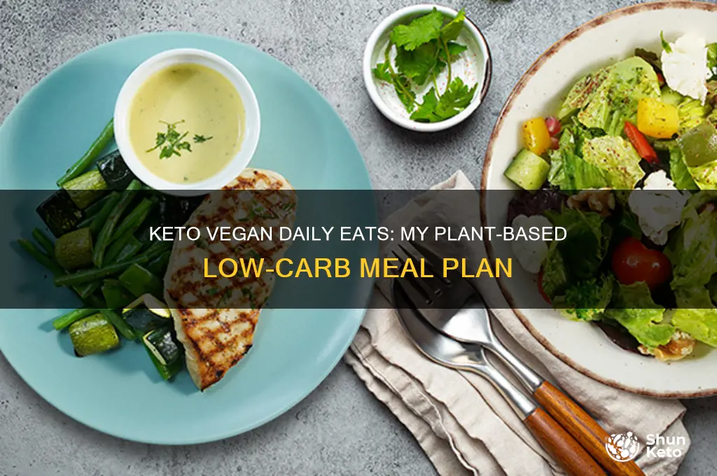 what i eat in a day keto vegan