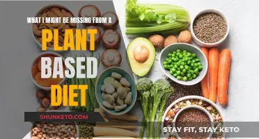 Plant-Based Diets: Potential Nutritional Gaps and How to Fill Them