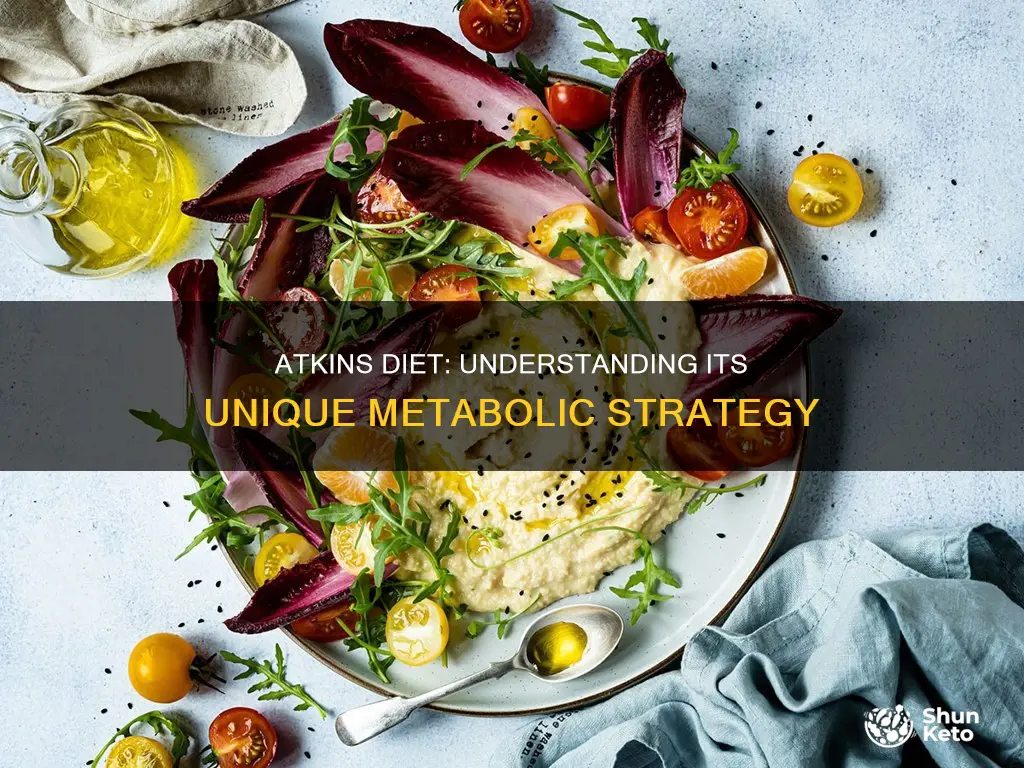 what i sthe atkins diet main metoboilic stratedgy