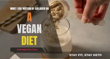 Vegan Collagen Substitutes: My Plant-Based Diet Essentials