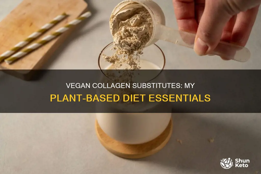 what i use instead of collagen on a vegan diet