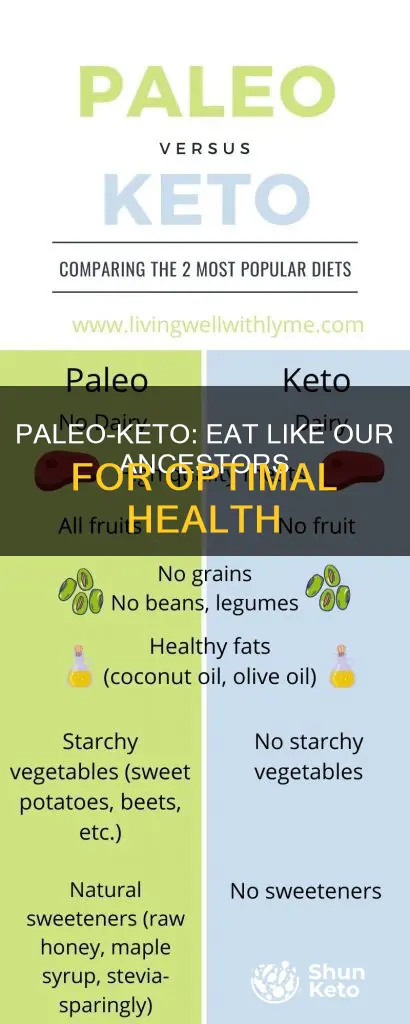 what ia a paleolithic ketogenic diet