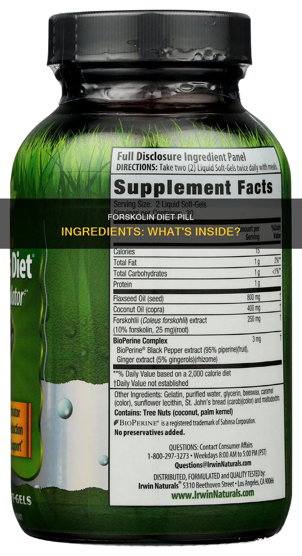 what iare the ingredients in forskolin diet pill