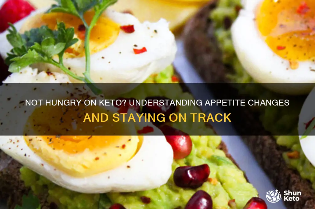 what if i am not hungry on the keto diet