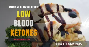 Low Ketone Levels on Keto: Understanding the Causes and Solutions