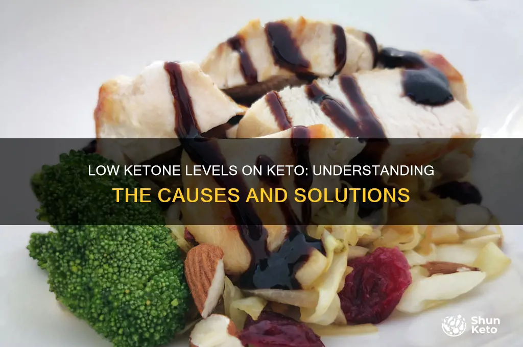 what if ive been eating keto but low blood ketones