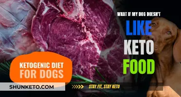 Keto Food for Dogs: What if My Dog Hates It?