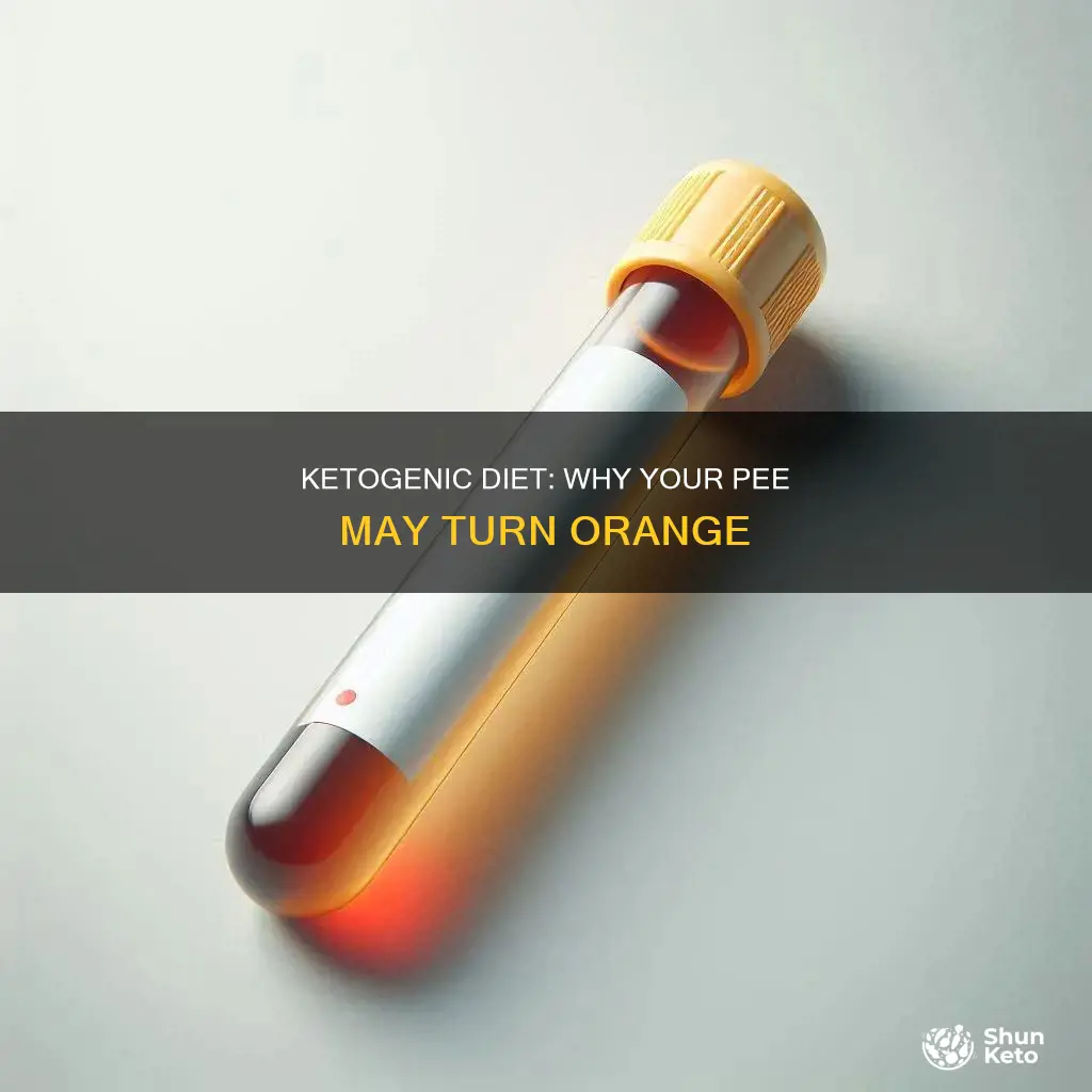 what if my pee is orange on ketogenic diet