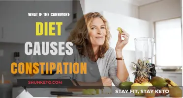 Constipation on Carnivore: What You Need to Know