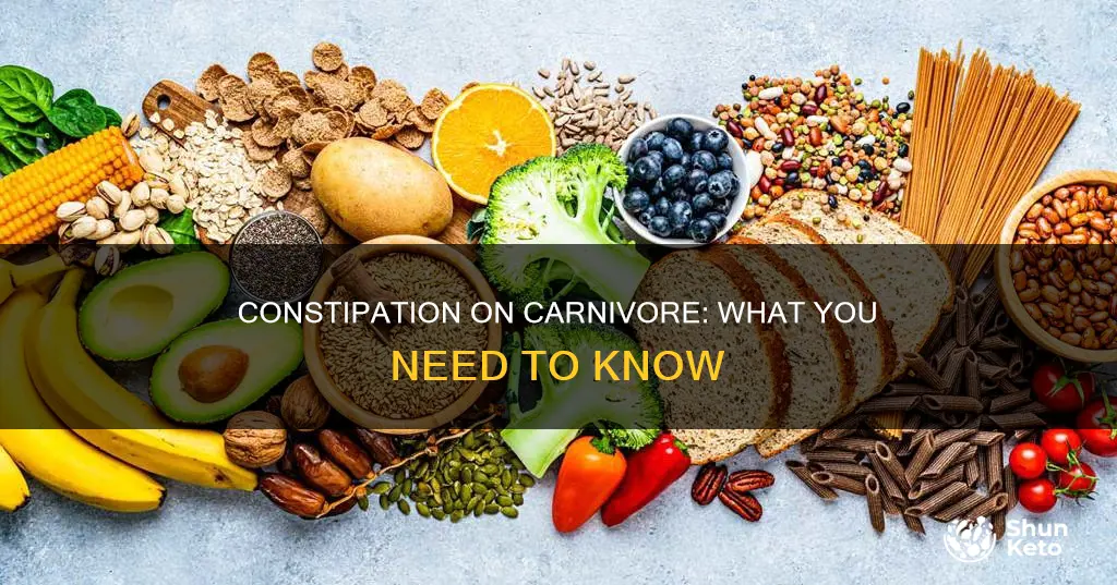 what if the carnivore diet causes constipation