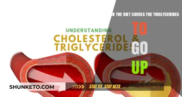 Dietary Factors That Increase Triglyceride Levels