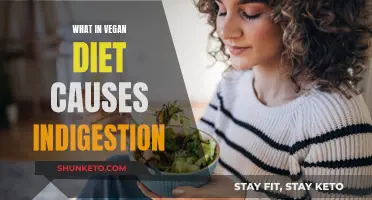 Vegan Diets: Indigestion Triggers and How to Avoid Them