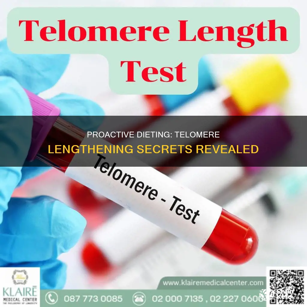 what increases telomere length proactive diet