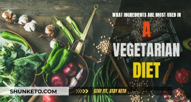 Vegetarian Diet: Essential Ingredients for a Healthy Lifestyle