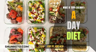 Living on 1500 Calories: A Day in the Diet