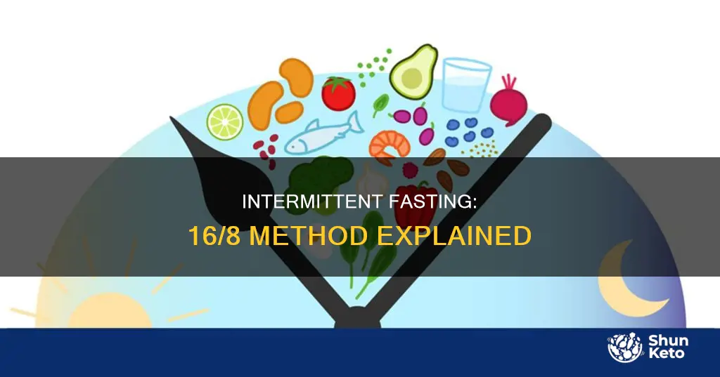 what is 16 8 fasting diet