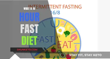 Intermittent Fasting: The 16-Hour Fast Diet Explained