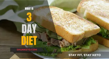 Rapid Weight Loss: The 3-Day Diet Explained