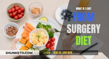 Post-Surgery Diet: What to Eat 3 Days Later