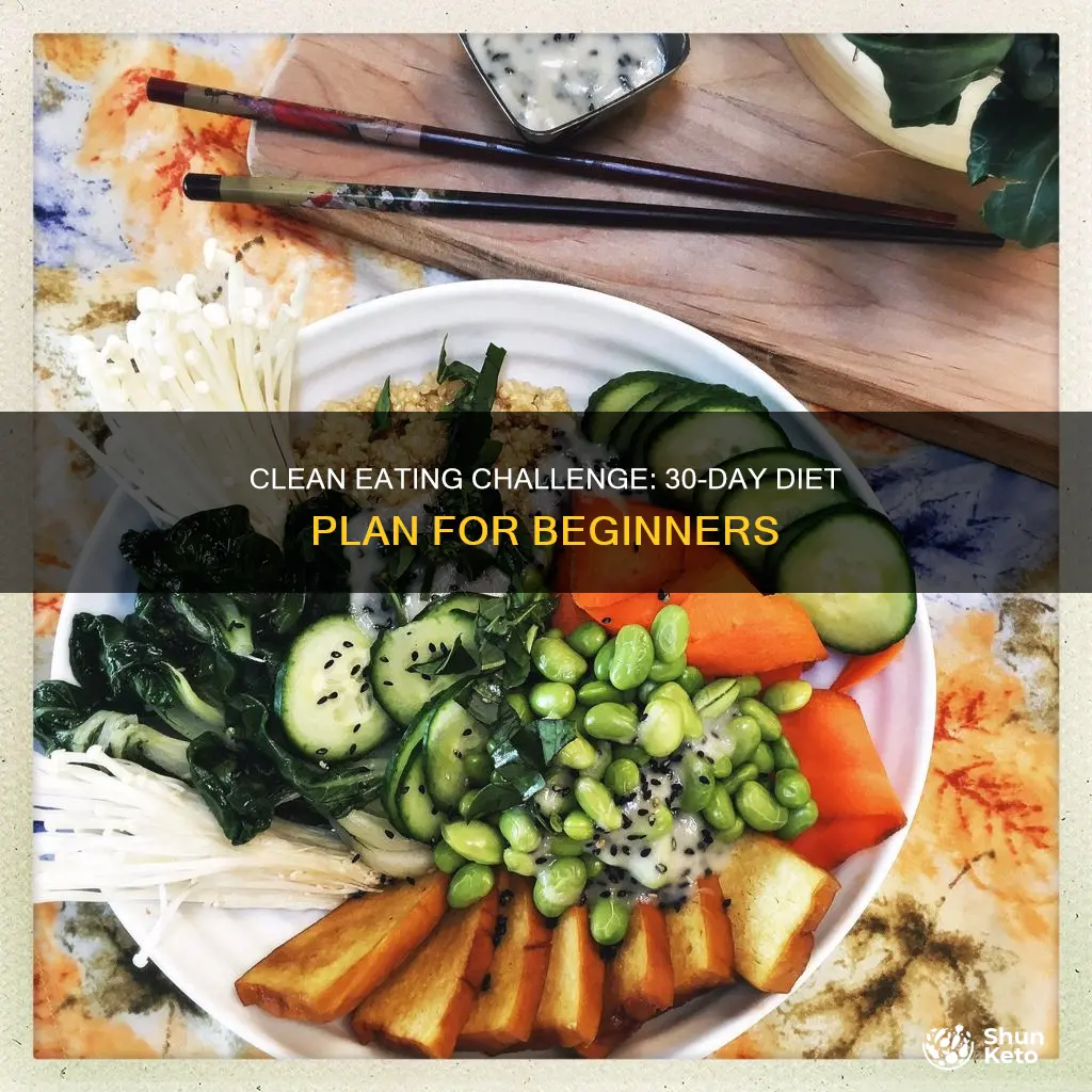 what is 30 day clean diet