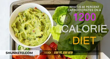 Carb Counting: 40 Percent Carbs on a 1200 Calorie Diet