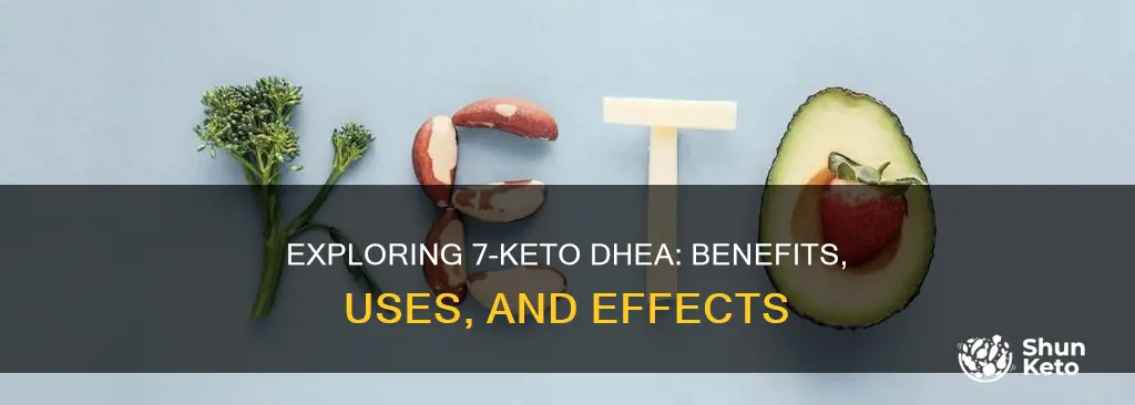 what is 7 keto dhea used for