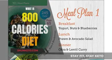 A Balanced Approach to the 800-Calorie Diet Plan