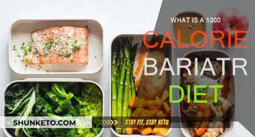 Bariatric Diet: Eating 1000 Calories to Lose Weight