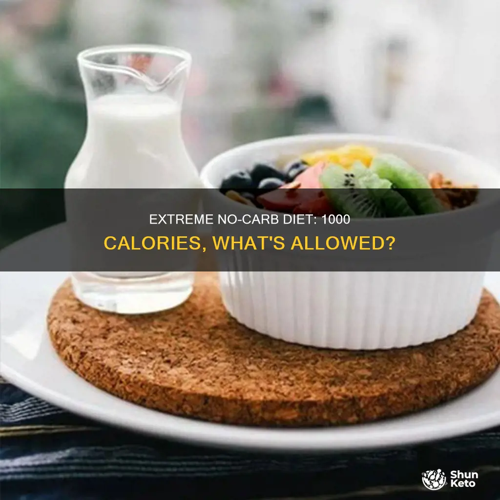 what is a 1000 calorie no carb diet