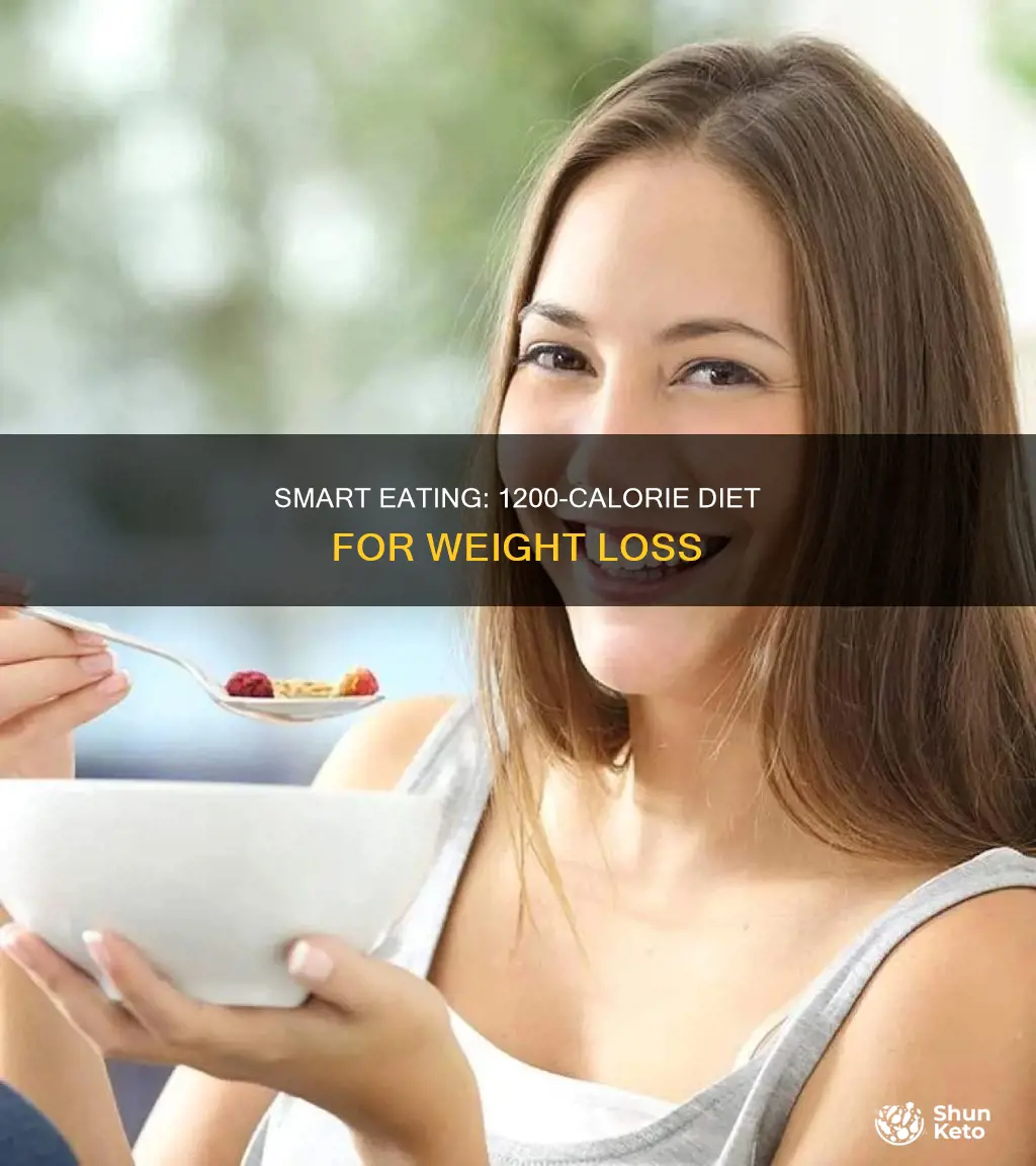 what is a 1200 calorie diet