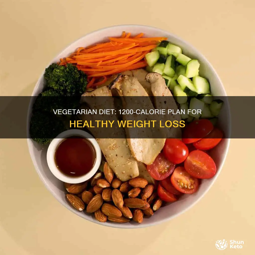 what is a 1200 calorie vegetarian diet