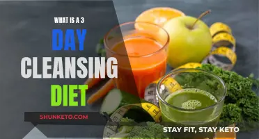 Cleansing Diets: 3-Day Detox for a Fresh Start