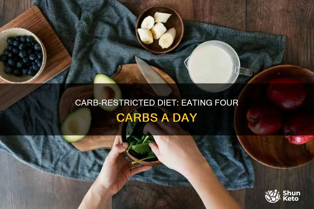 what is a 4 carb diet