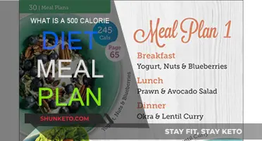 A Strict Diet: 500-Calorie Meal Plan Explained