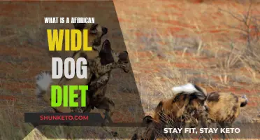 African Wild Dogs' Diet: Meat-Rich Meals