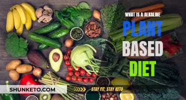 Alkaline Plant-Based Diet: Eating for Health and Energy