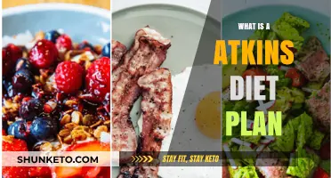 Atkins Diet 101: Understanding the Low-Carb Lifestyle