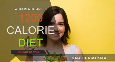 A Healthy 1200-Calorie Diet: What to Eat for Weight Loss