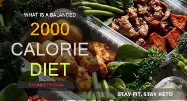 A Healthy 2000-Calorie Diet: Balancing Your Daily Intake