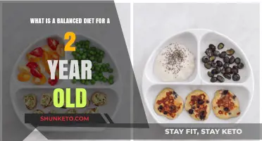 Healthy Eating for Toddlers: A Balanced Diet Guide