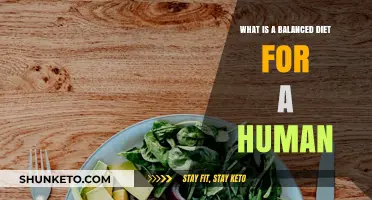 Healthy Eating: Balanced Diet for Humans