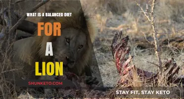 Lion's Diet: Balancing Nutrients for the King of the Jungle