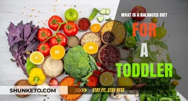Healthy Eating for Toddlers: A Balanced Diet Guide
