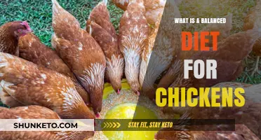Chickens' Balanced Diet: What, Why, and How?