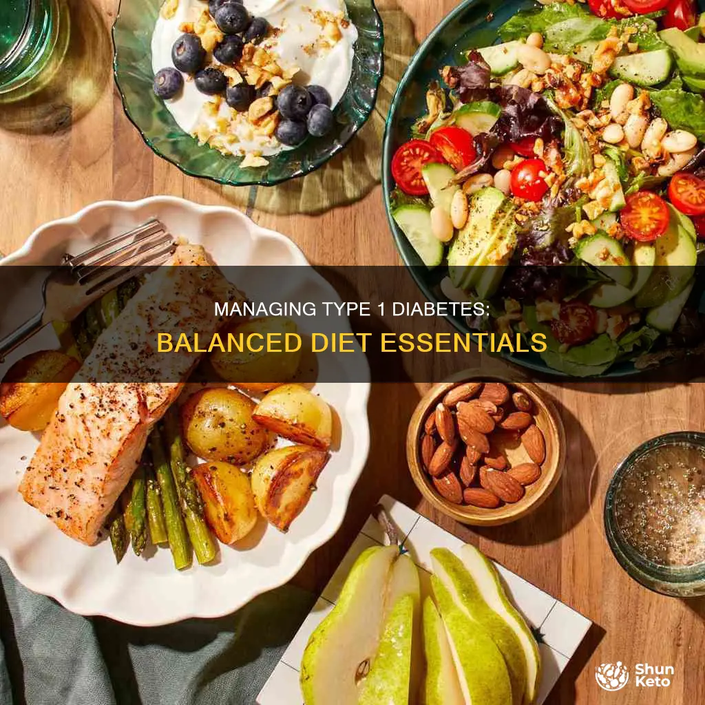 what is a balanced diet for type 1 diabetes