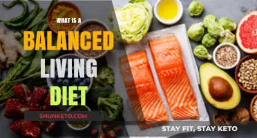Healthy Balanced Diet: Key to a Fulfilling Life